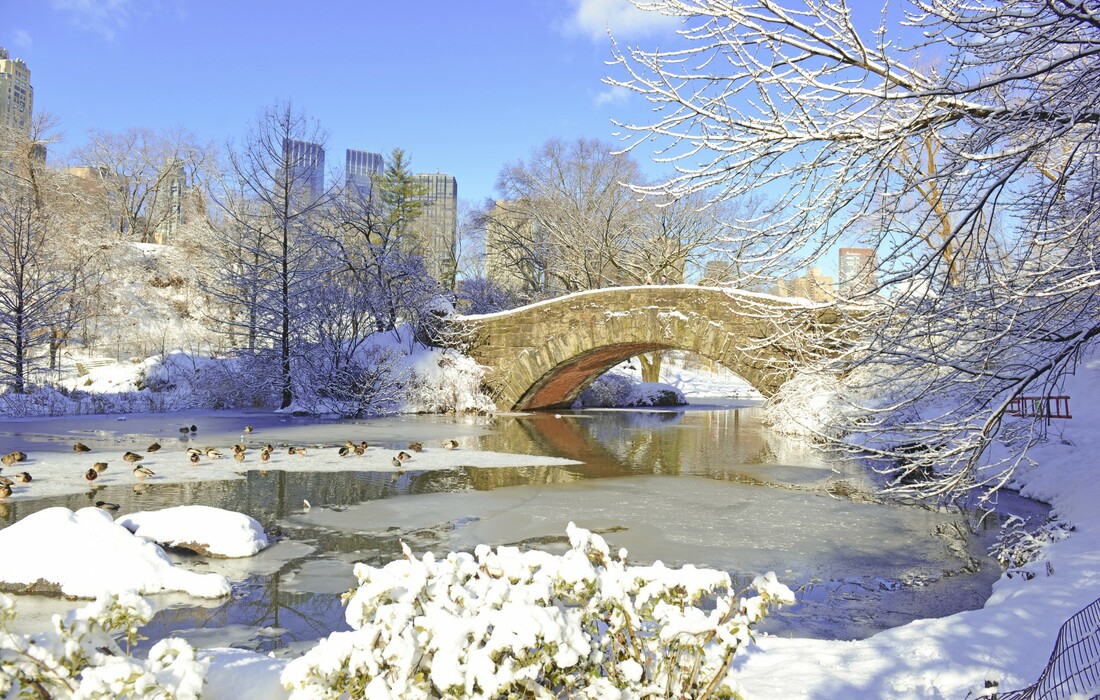 New York - Central Park