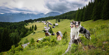 Velika planina, putovanje iz kolekcije Upoznajmo Sloveniju, garantirani polasci
