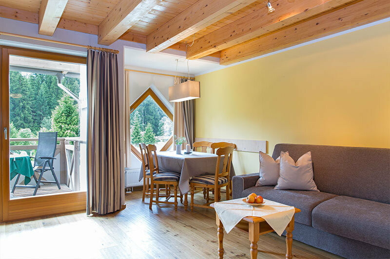 Skijanje u Italiji, skijalište Kronplatz, Residence Corones, dnevni boravak