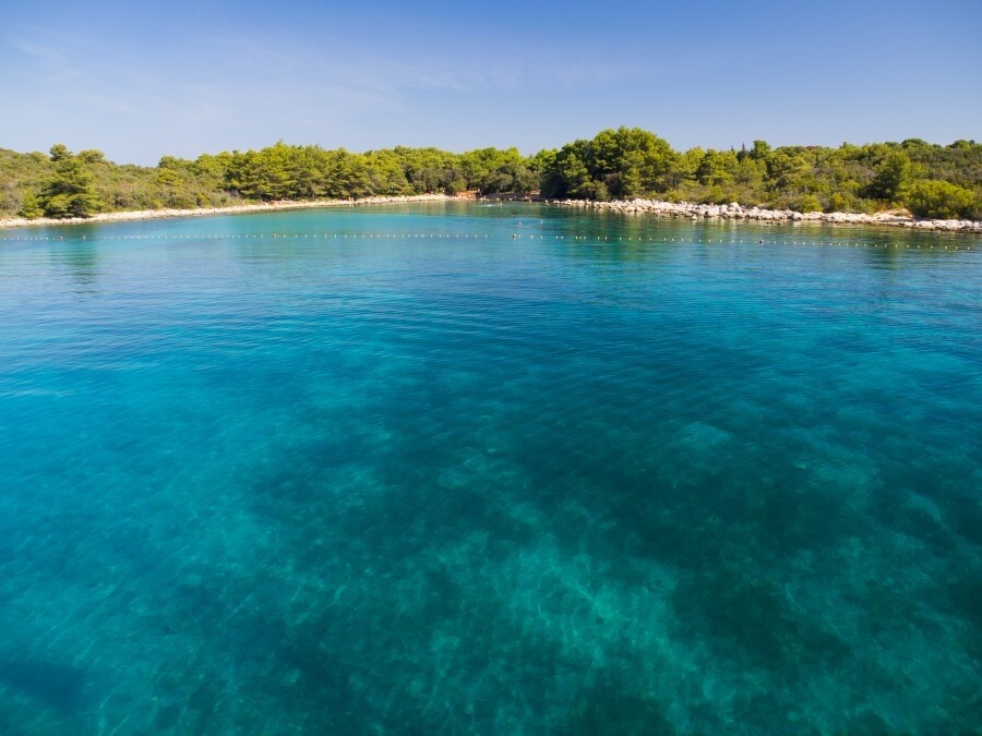 Divine Dalmatia3