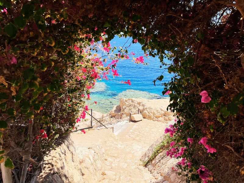 Sharm El Sheikh, Siva Sharm****