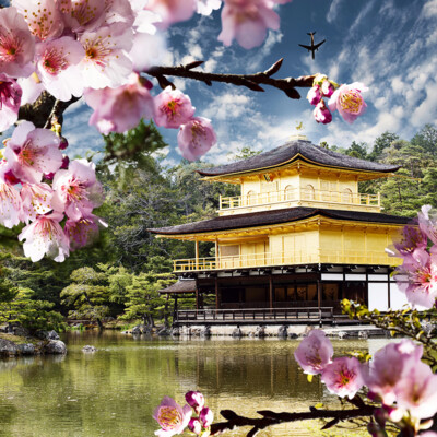 Japan, KYOTO - Golden Pavilion Temple