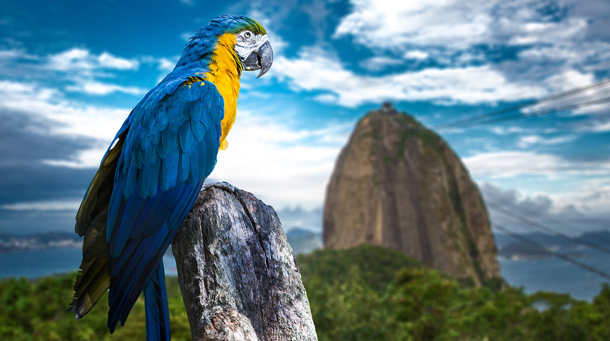 Brazil putovanje, Rio de Janeiro putovanje mondo, daleka putovanja, grupni polasci