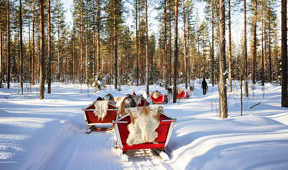 Saonice sa sobovima, putovanje Rovaniemi, Mondo travel