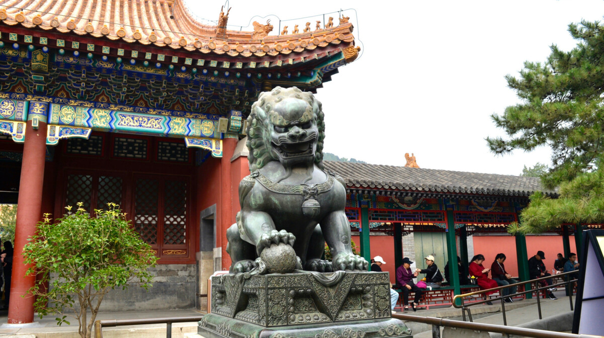 Kina, slika Antonija Putić