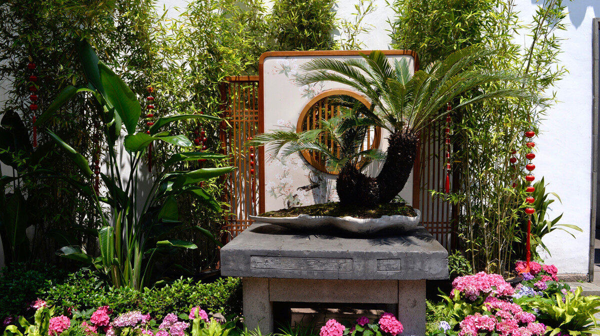 Kina - YU VRT Antonija Putić