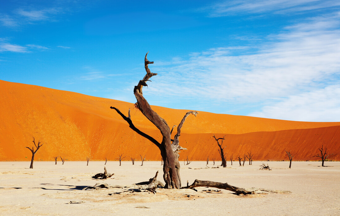 Namibija, pustinja Sossusvlei