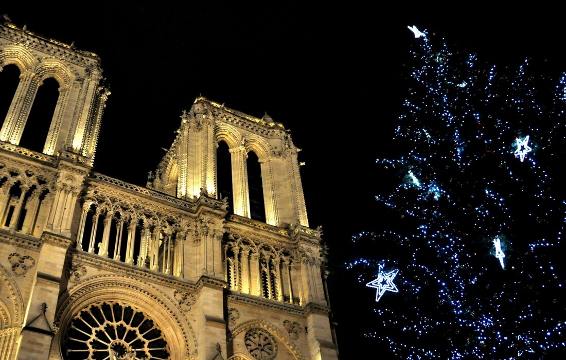 Okićeni bor ispred crkve Notre Dame, putovanje u Pariz