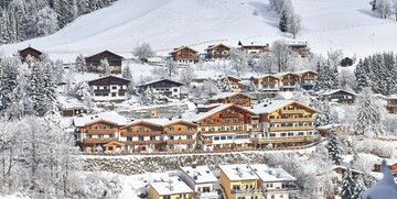 Zell am See, Gartenhotel Daxer, skijanje u Austriji mondo posebna ponuda