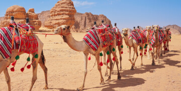 Saudijska Arabija, pustinja Al Ula