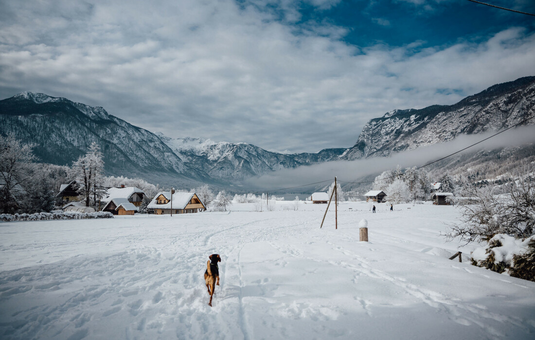 Hotel Bohinj, zimska2