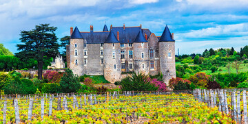 Francuski vinogradi, francusk dvorac, putovanje francuska tura