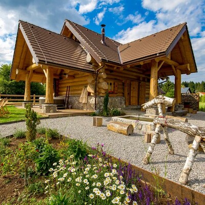 Ravna Gora, Divjake Log Home - Kraljica šume5