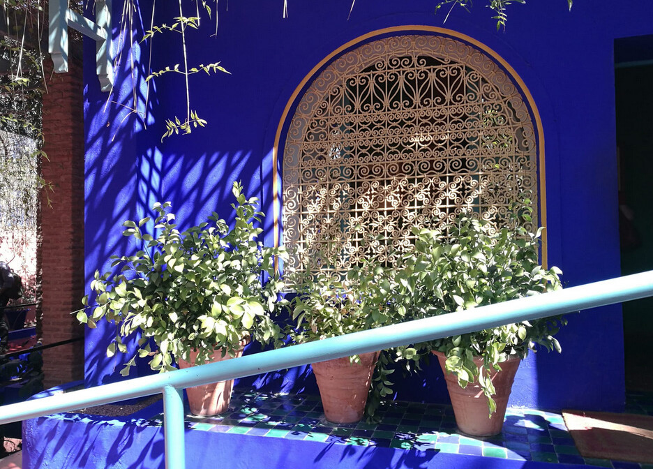 Marrakech -Botanički vrt Majorelle 2