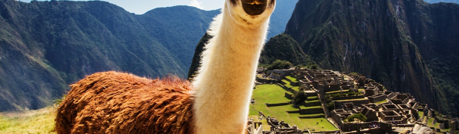 Cusco 
