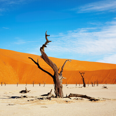 Namibija, pustinja Sossusvlei