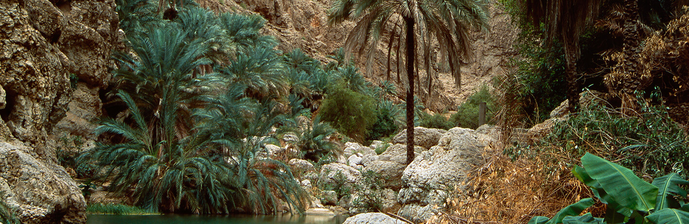 Wadi Shab