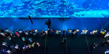 Dubai,  najveći akvarij na svijetu, garantirani polasci, daleko putovanje zrakoplovom