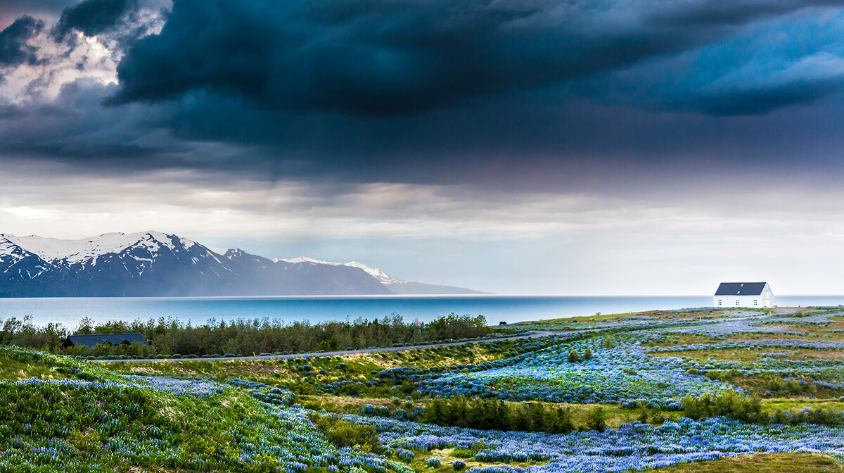 Husavik, putovanje na Island, garantirani polazak