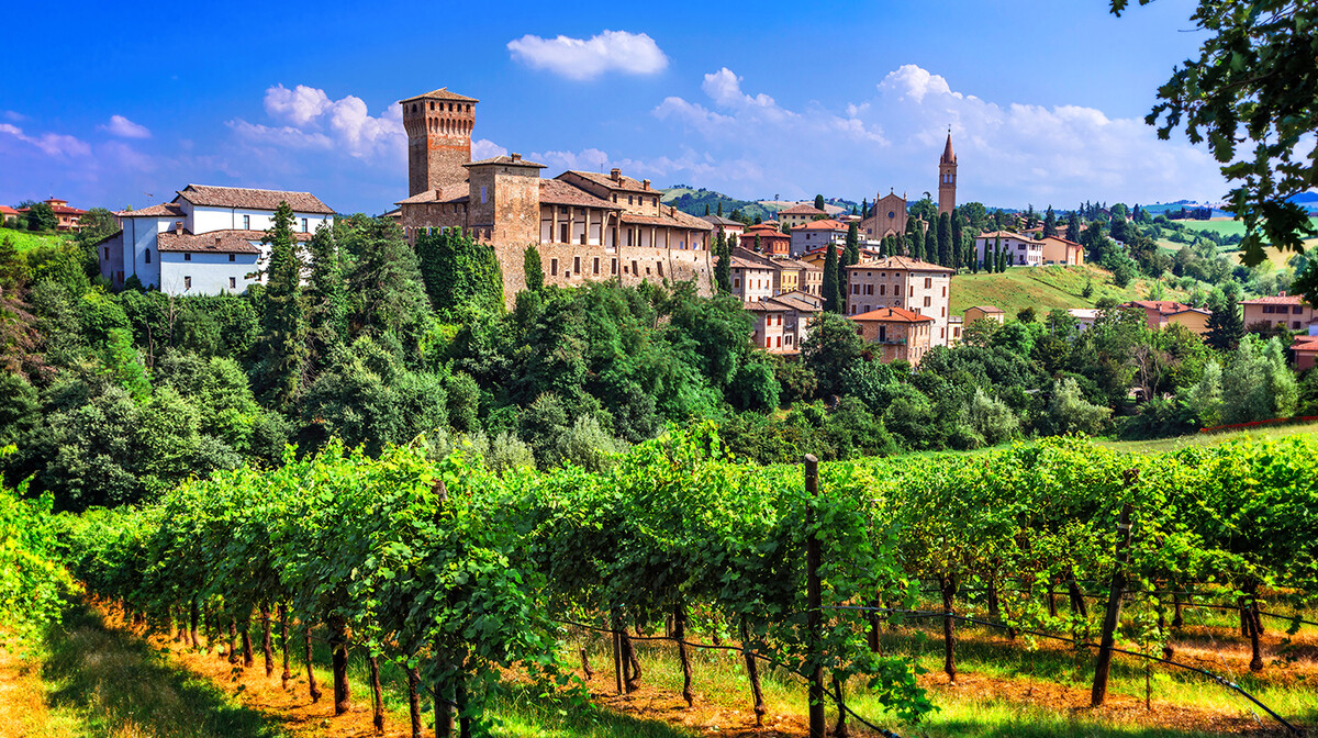 Emilia Romagna, vinogradi., putovanje Italija, Mondo travel