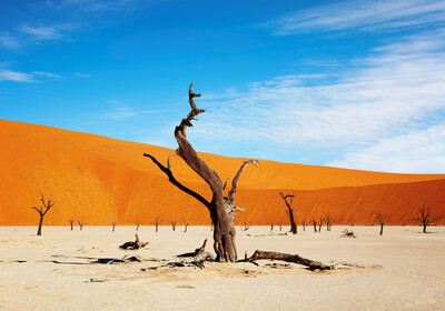 Namibija, pustinja Sossusvlei