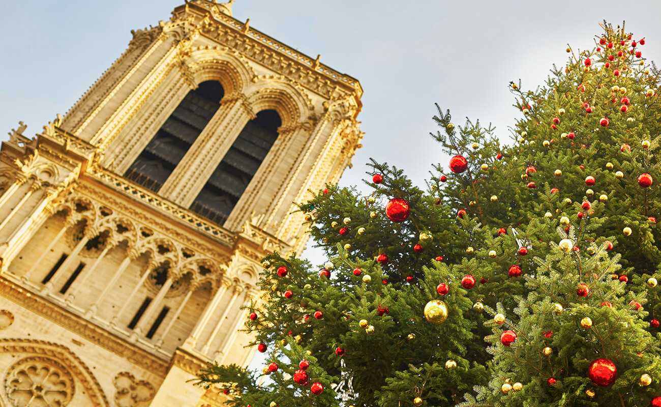 Okićeni bor ispred crkve Notre Dame  u Parizu, advent u Parizu