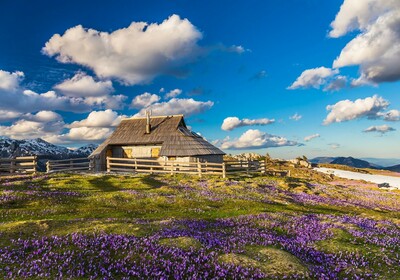 Velika Planina