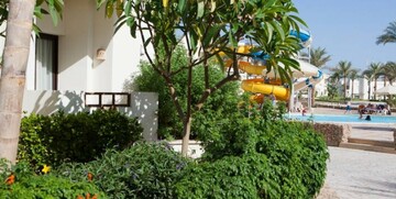 Ljetovanje Egipat, Sharm el Sheikh, SHARM RESORT, vrt hotela i bazen