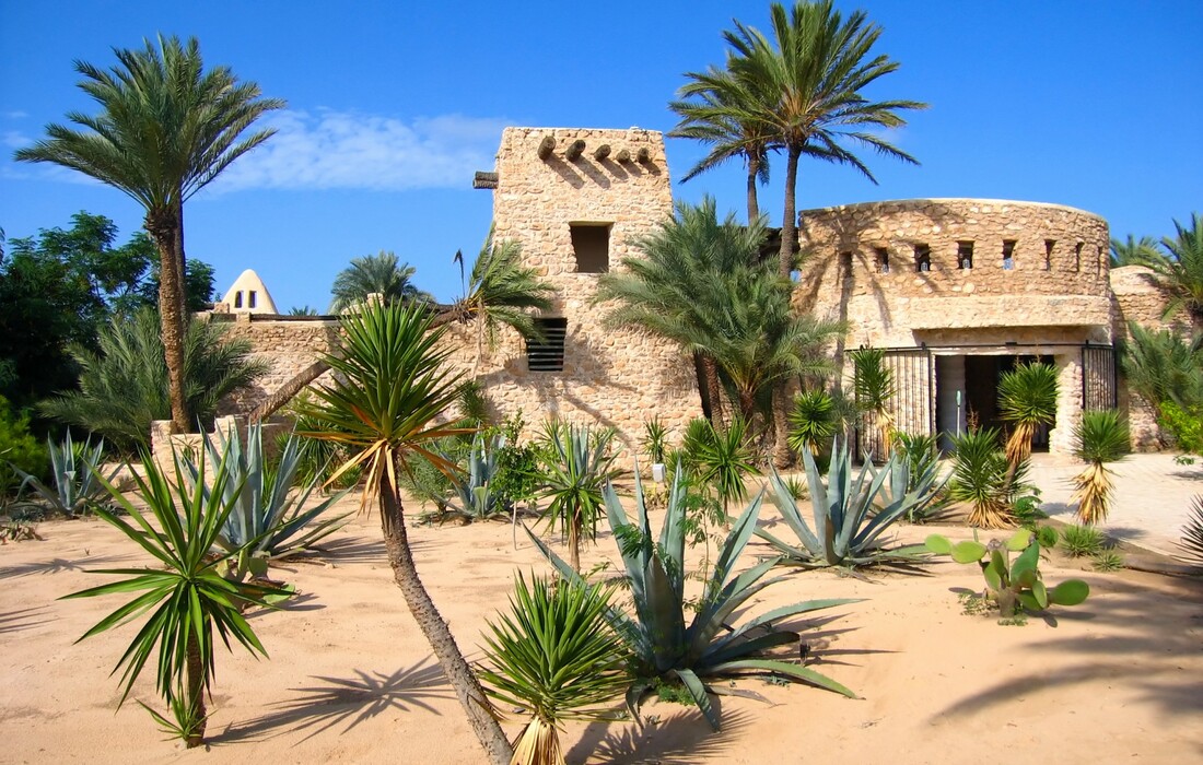 Farma krokodila, Djerba, Tunis, ljetovanje Mediteran, charter let Tunis, garantirani polasci