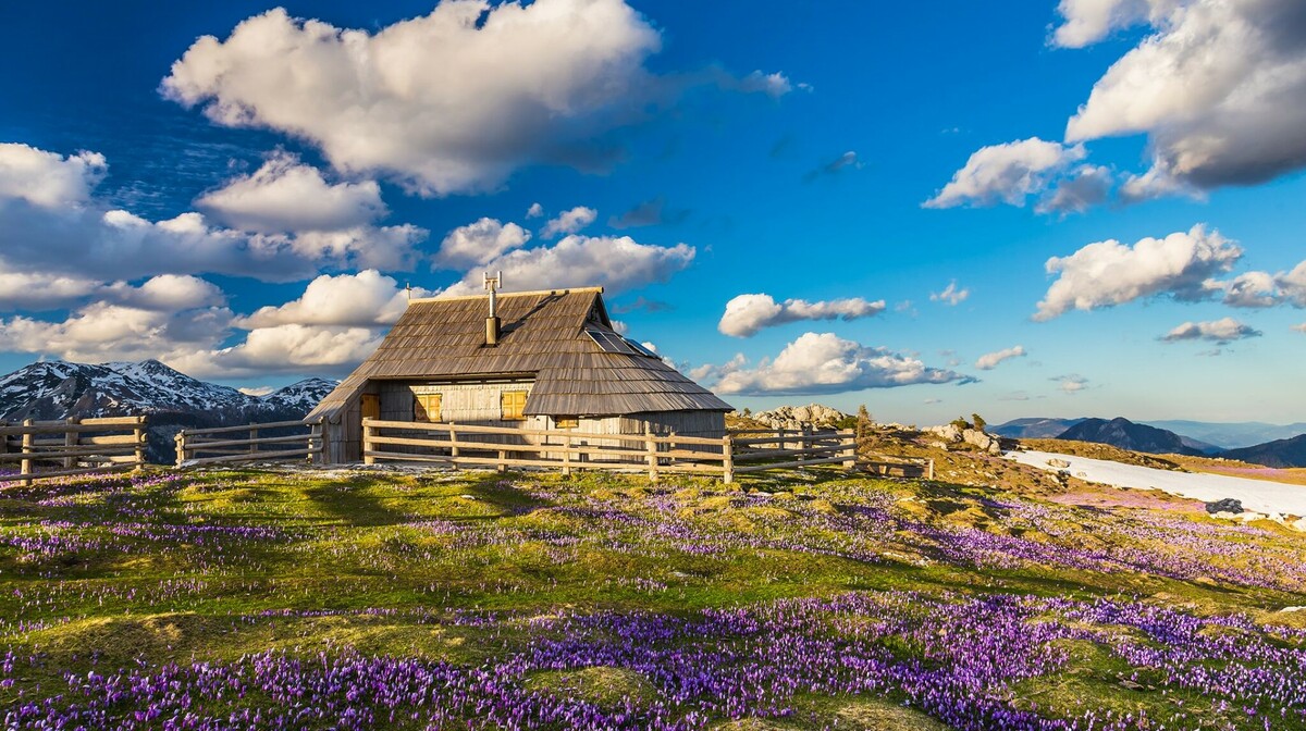 Velika Planina