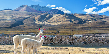 Peru, mondo travel, garantirani polasci