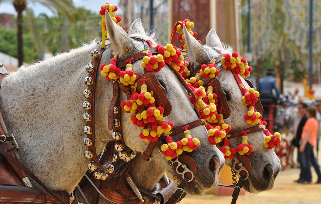 Festival konja, Jerez de la Frontera, putovanje u Andaluziju, garantirani polasci, putovanje avionom