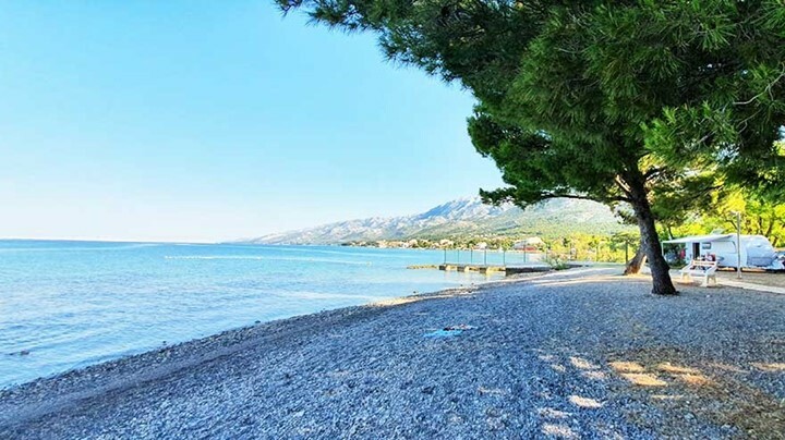 Starigrad-Paklenica, Bluesun camp paklenica, borova šuma uz plažu