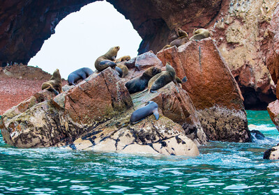 Peru - Ballestas