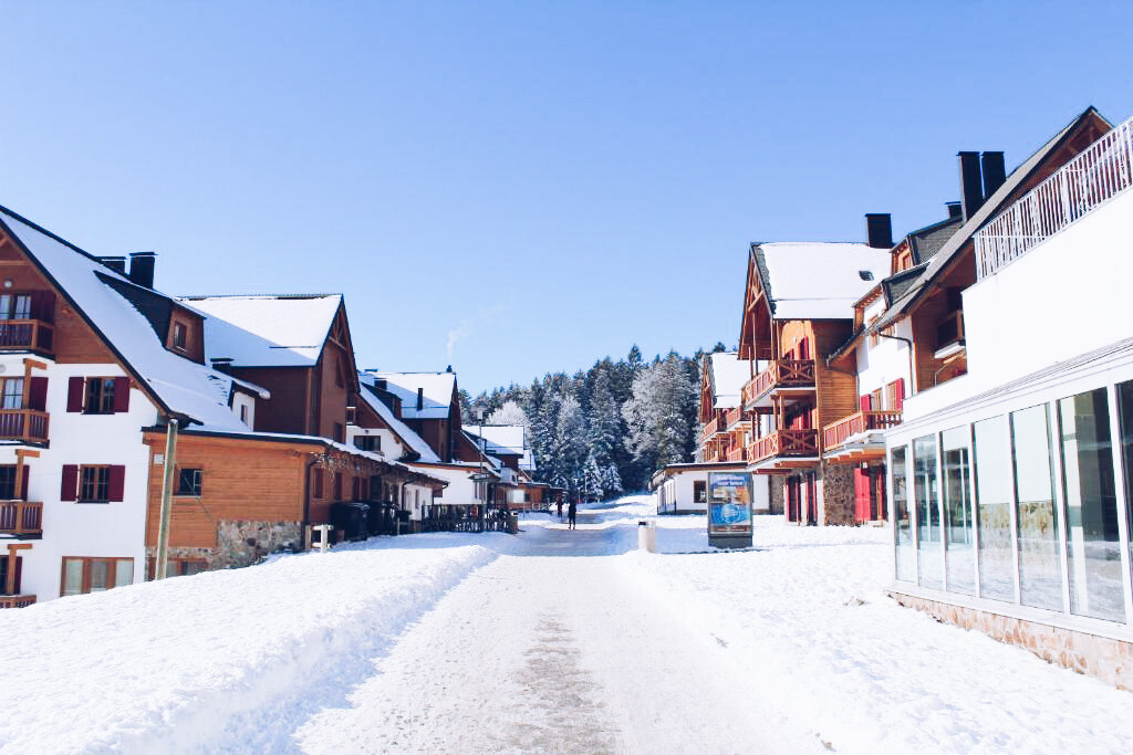 Pohorje Village Wellness & Spa Resort_Forest apartments Videc