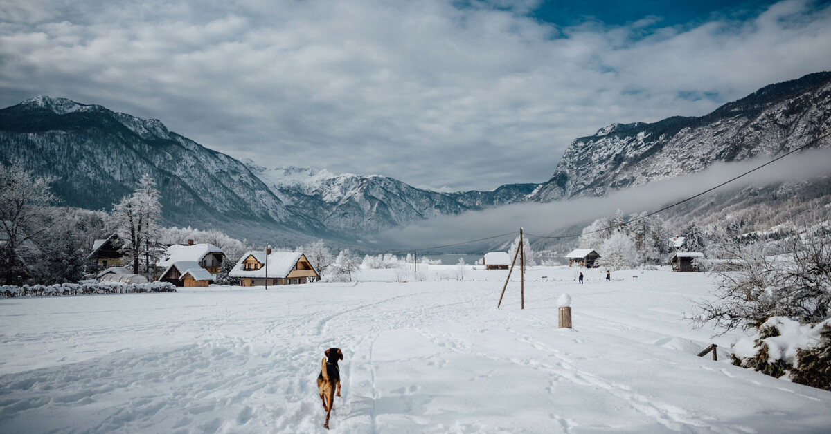 Bohinj, Hotel Bohinj 4*