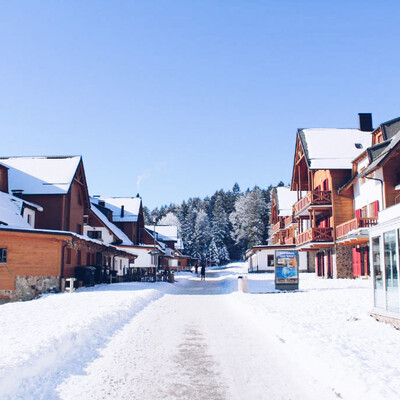 Pohorje Village Wellness & Spa Resort_Forest apartments Videc