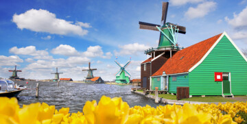 Polja tulipana i stare vjetrenjače, putovanje u Amsterdam