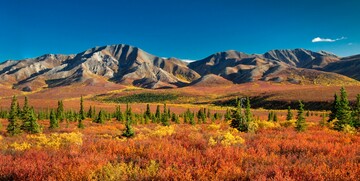 Aljaska nacionalni park prekrasni pejsaž