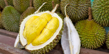 voće Durian, putovanja zrakoplovom, Mondo travel, daleka putovanja, garantirani polazak