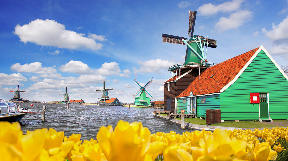Polja tulipana i stare vjetrenjače, putovanje u Amsterdam