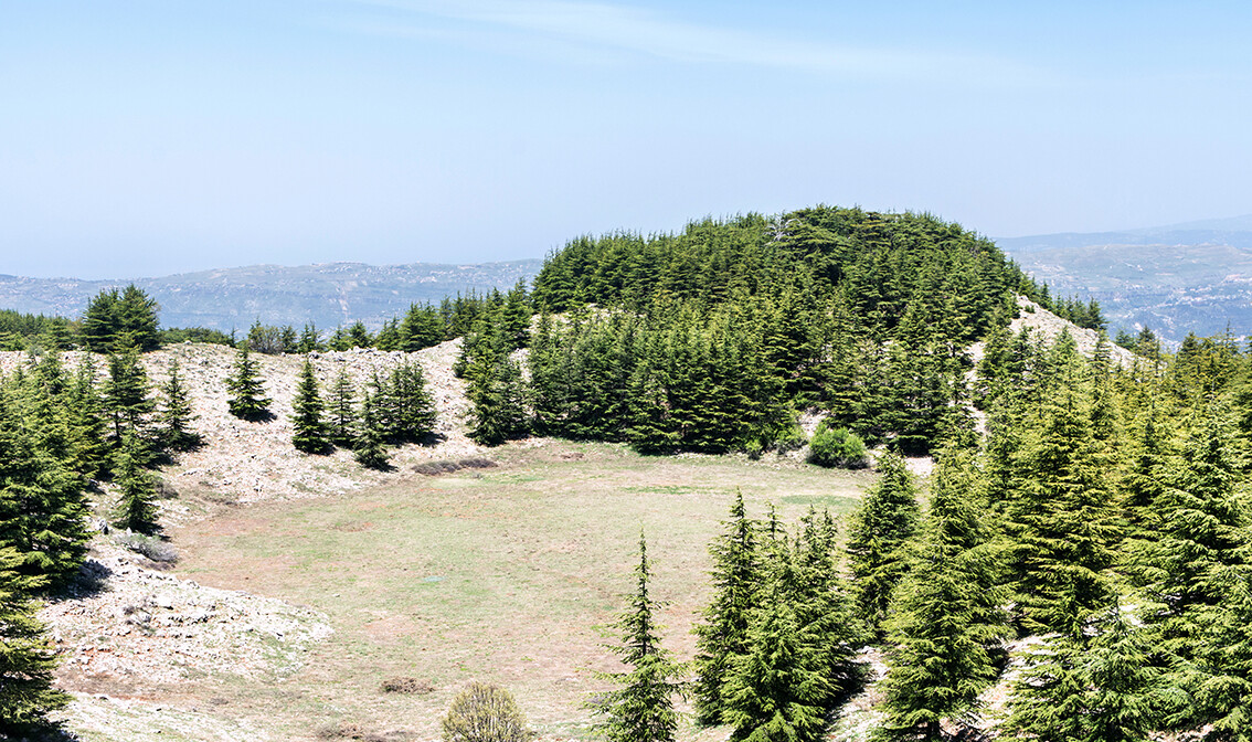 Cedrovi planine Libanon, putovanje u Libanon, grupni polasci, daleka putovanja