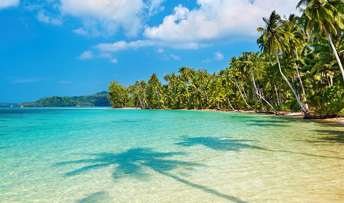 plaža i kokosove palme, putovanja zrakoplovom, Mondo travel, daleka putovanja, garantirani polazak