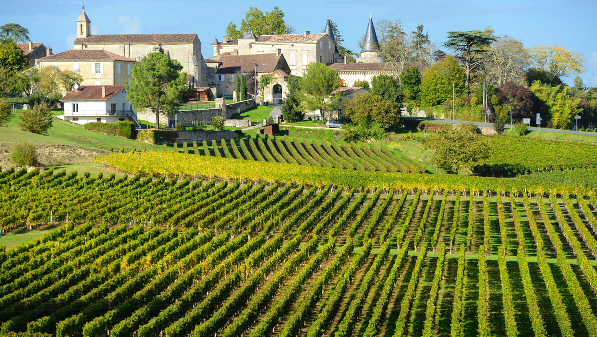 Bordeaux -Vinogradi Saint Emilion