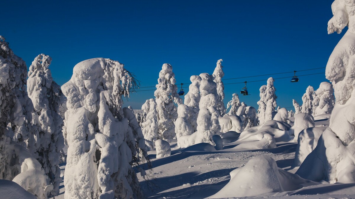 Dolomiti