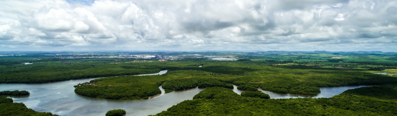 Amazonska prašuma ili Amazonija