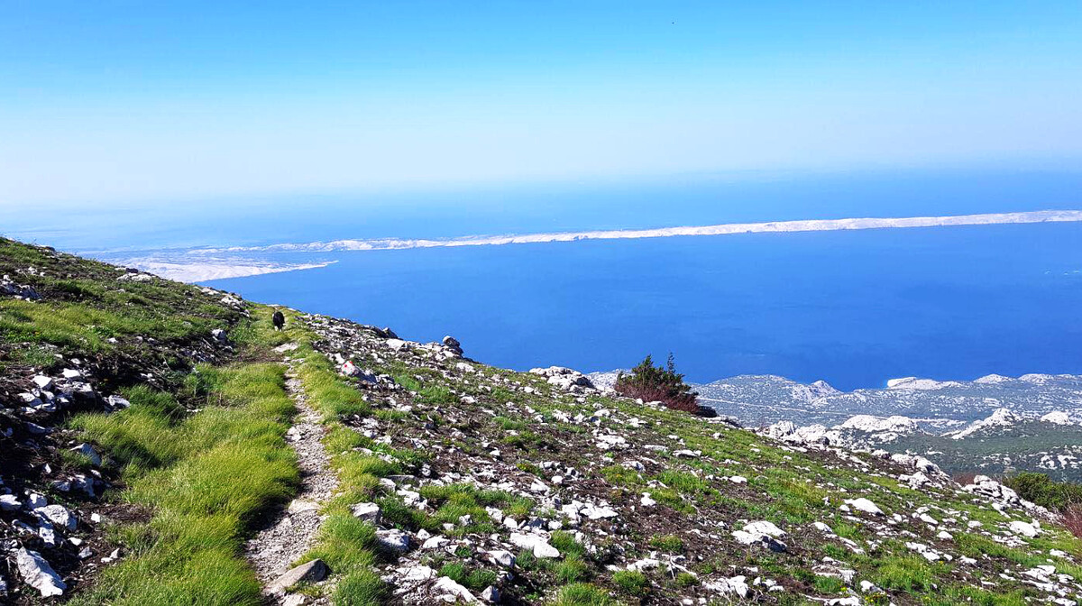 Velebit, Premužićeva starza