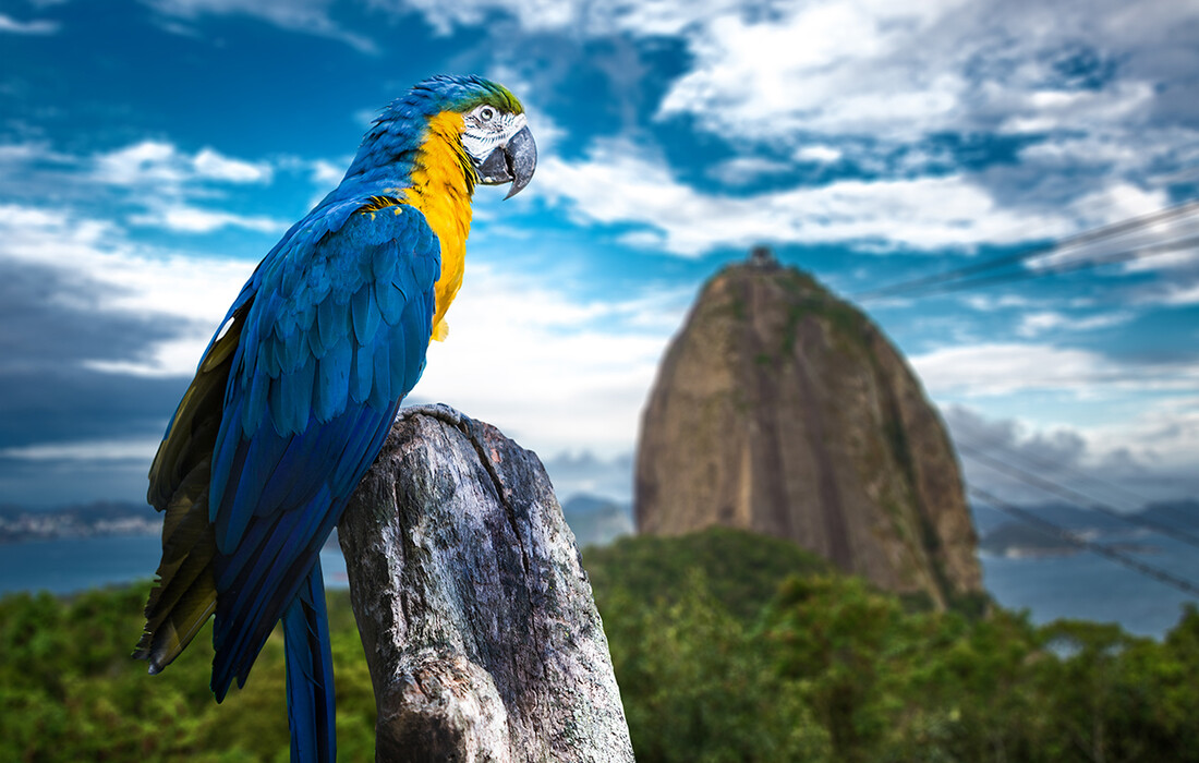 Brazil putovanje, Rio de Janeiro putovanje mondo, daleka putovanja, grupni polasci