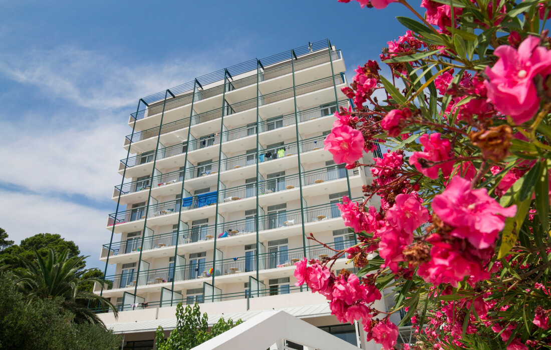 Tučepi, Bluesun hotel Neptun i depandansa Maslinik, izgled hotela