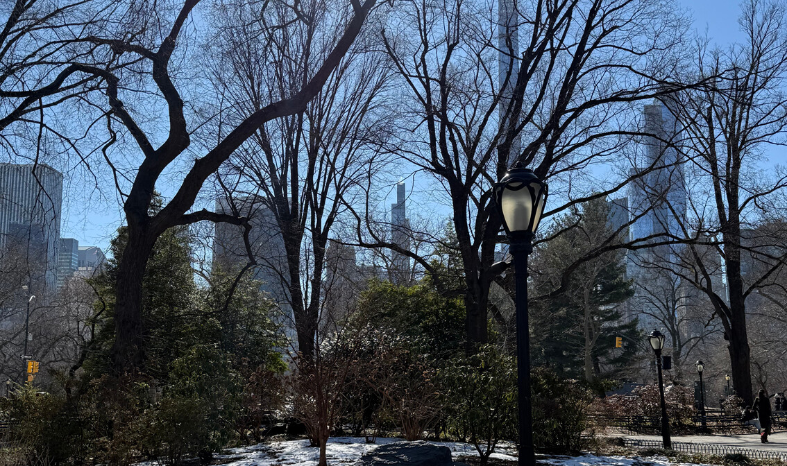 Central Park, New York